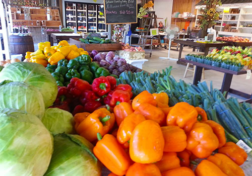 Enjoy farm fresh produce from Shaw Farms near Cincinnati, Ohio.