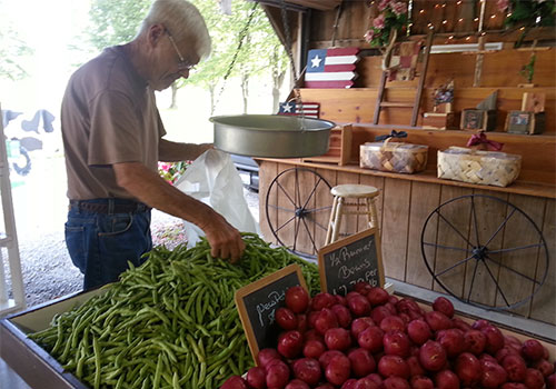 Enjoy tasty green beans grown on the farm at Shaw Farms near Cincinnati, Ohio.