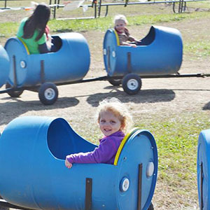 Ride the little blue cow train at Shaw Farms near Cincinnati, Ohio. 